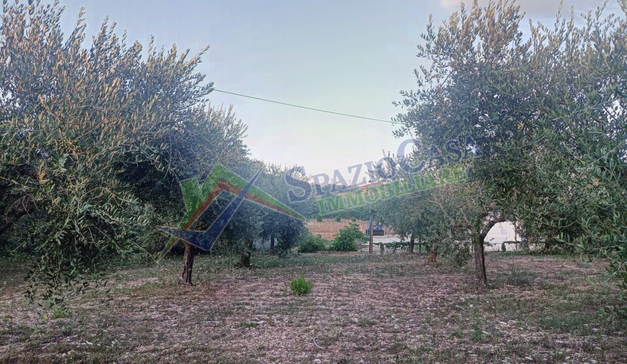 26